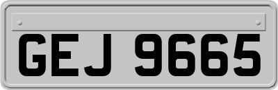 GEJ9665