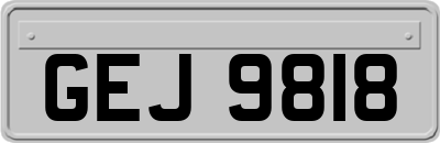 GEJ9818