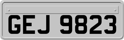 GEJ9823