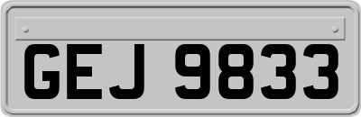 GEJ9833