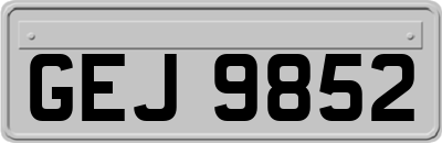 GEJ9852