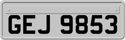 GEJ9853
