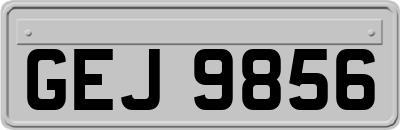 GEJ9856