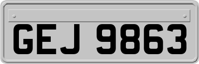 GEJ9863