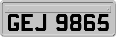 GEJ9865