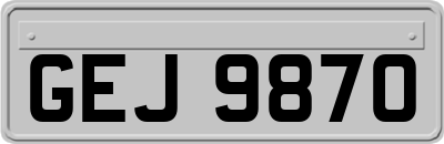 GEJ9870