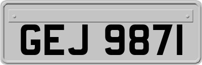 GEJ9871