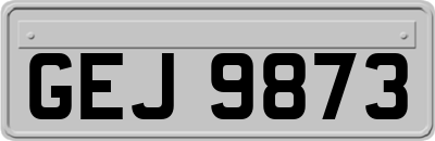GEJ9873