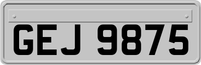 GEJ9875