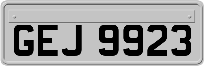 GEJ9923