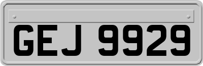 GEJ9929