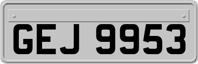 GEJ9953