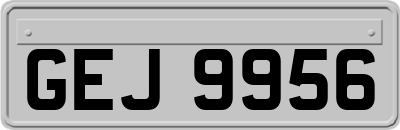 GEJ9956