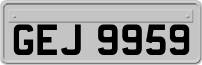 GEJ9959