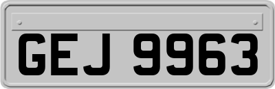 GEJ9963