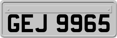 GEJ9965