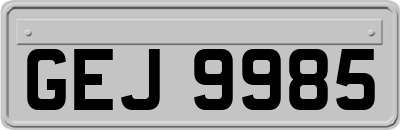 GEJ9985