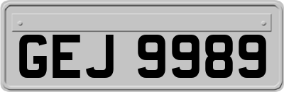 GEJ9989