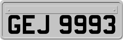GEJ9993