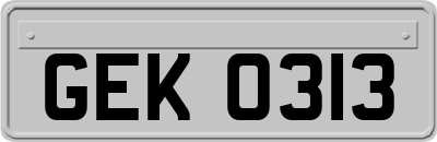 GEK0313