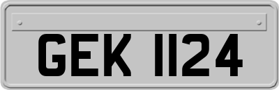 GEK1124