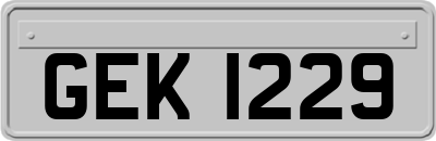 GEK1229