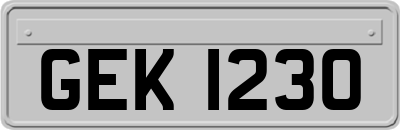GEK1230