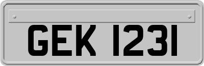 GEK1231