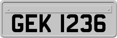 GEK1236