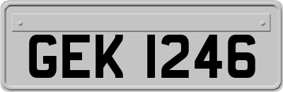 GEK1246