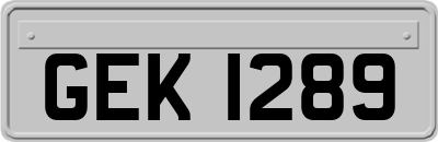 GEK1289