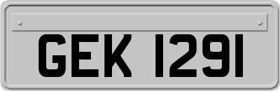 GEK1291
