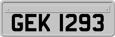 GEK1293