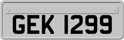 GEK1299