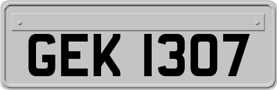 GEK1307