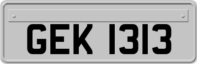 GEK1313
