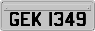 GEK1349