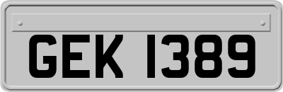 GEK1389
