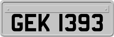 GEK1393