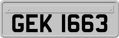 GEK1663