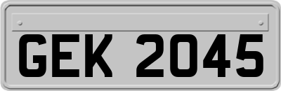GEK2045