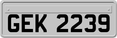 GEK2239