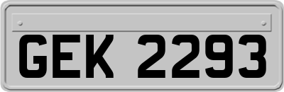 GEK2293