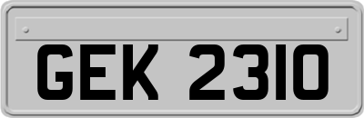 GEK2310