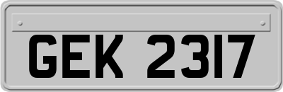GEK2317