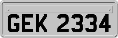 GEK2334