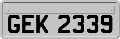 GEK2339