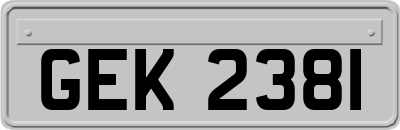 GEK2381