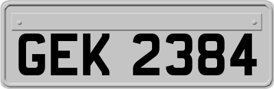 GEK2384