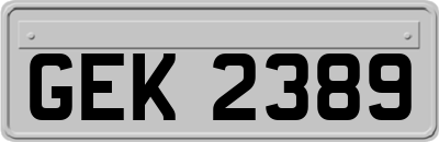 GEK2389